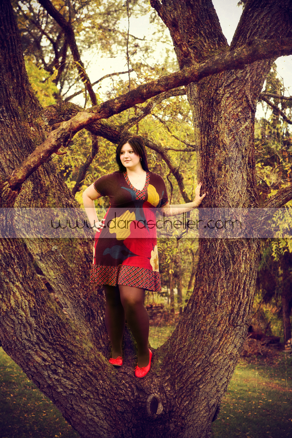 LaurenTreeBlog