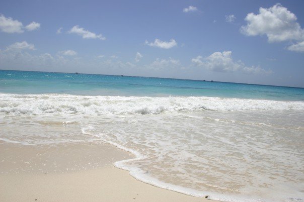(photo from a wedding trip to Barbados in Feb07)